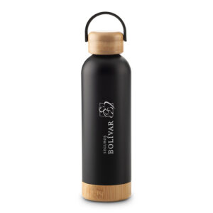 BOTILITO METÁLICO LEWIS URBAN TRAVEL 500ML