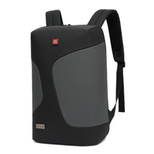 MORRAL FRAUD