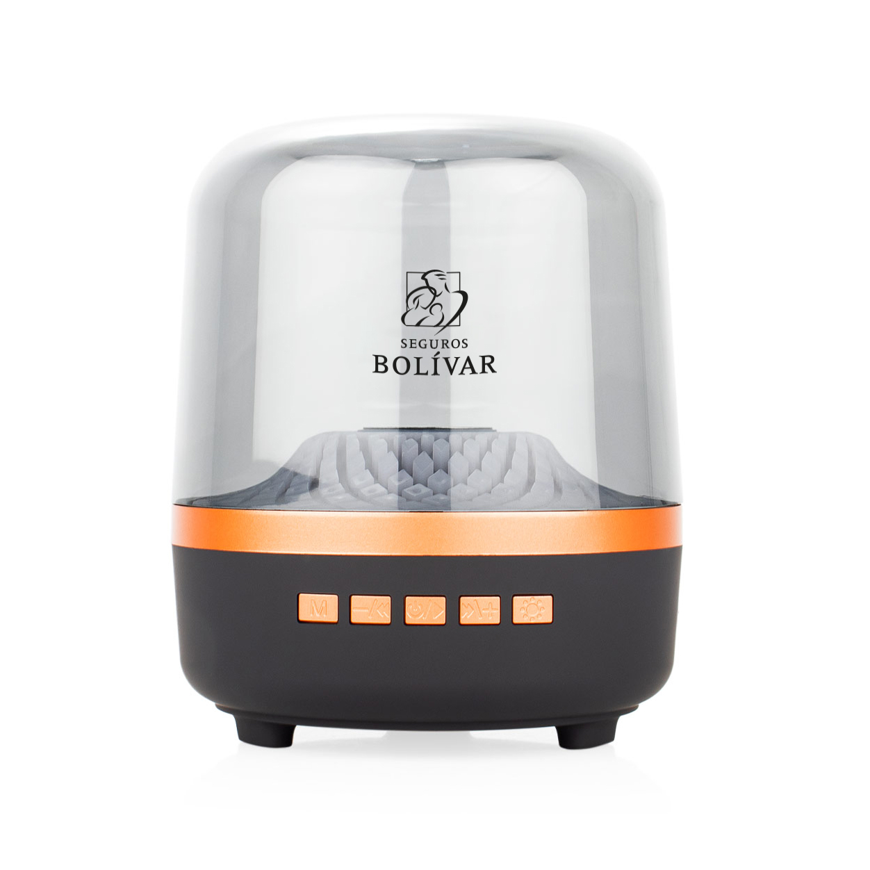 SPEAKER TALKING